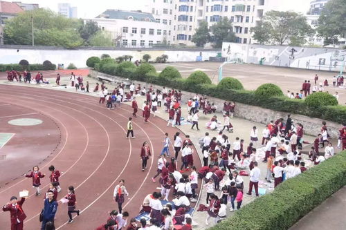人都快爆棚啦 看小学生如何 炒火 跳蚤书市